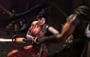 Ninja Gaiden screenshot 3