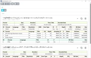BetterMediaInfo screenshot 1