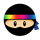 Palette Ninja icon