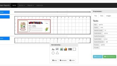 Colombian Report Designer screenshot 1