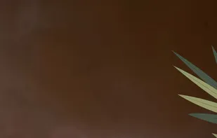 KIMs Lifeline - travel text adventure