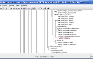 Dendroscope screenshot 1