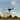Leo's RC Simulator icon