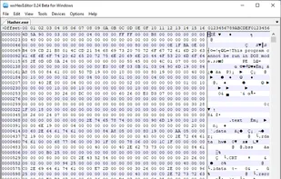 wxHexEditor screenshot 1