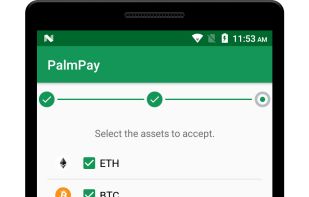 PalmPay screenshot 3