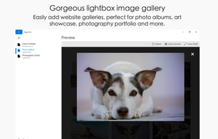 Hazel Pro - Responsive Website Designer screenshot 3