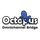 Octopus Bridge icon
