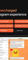 Swiftgram screenshot 2