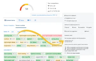 NeuronWriter screenshot 1