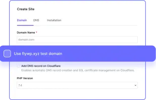 flywp.xyz test domains