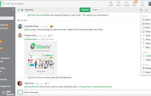 Zillable screenshot 1