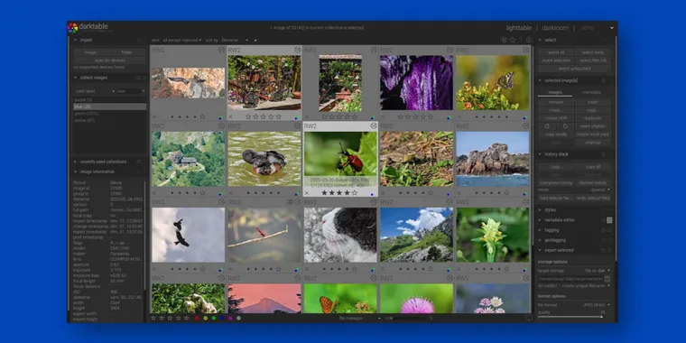 Darktable 4.4 released with white balance presets and noise profiles for more cameras image