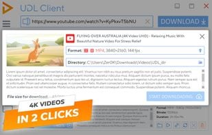 Ultra Full HD support and easy downloading
