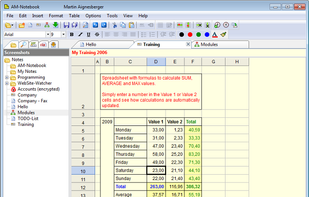 Spreadsheet with formulas