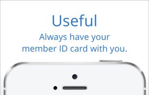 Anthem Inc. screenshot 1