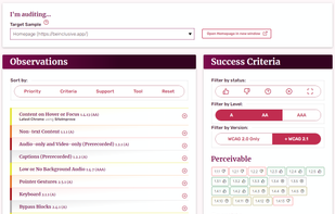 The audit editor - Track success criteria results and log new observations (with associated images) all in one easy interface