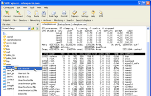 SSH Explorer screenshot 1