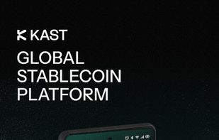 Kast Finance screenshot 1