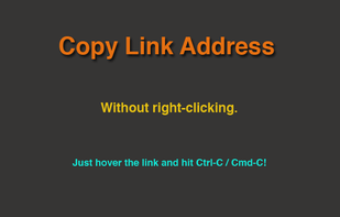 Copy Link Address screenshot 1