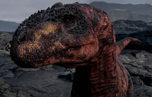 Encounter Dinosaurs screenshot 1