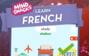 MindSnacks French screenshot 3