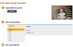 Online Image Converter screenshot 1