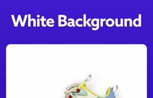 PhotoRoom screenshot 2