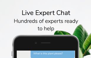 SmartPlant screenshot 2