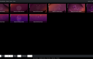 OS version selection