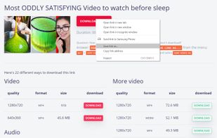 download video or convert to mp3