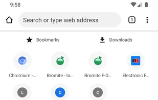 Bromite SystemWebView screenshot 1