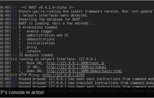 BeEF screenshot 1