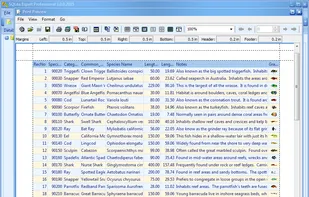 SQLite Expert screenshot 1