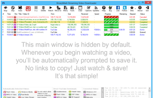 Streaming Video Downloader screenshot 1