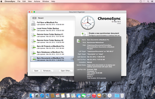 Manage all of your Synchronizer and Container documents in the Document Organizer.