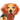 Beagle IM icon