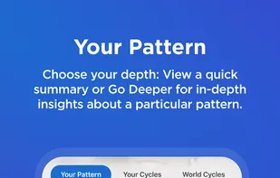 The Pattern screenshot 1