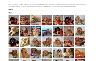 Petigree screenshot 3