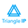 Triangle IP icon