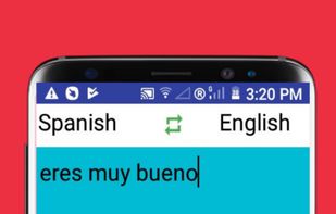 English to Spanish Translator Pro screenshot 2