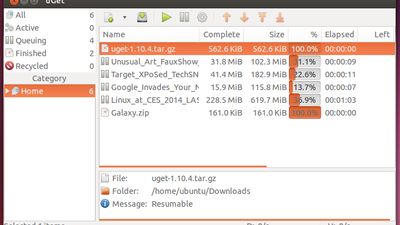 uGet 1.10.4 running on Ubuntu 13.10