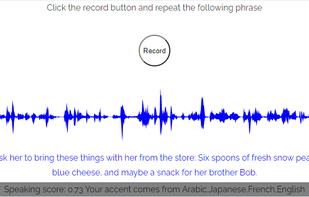 The speech recognition system