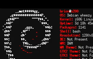 Debian screenfetch