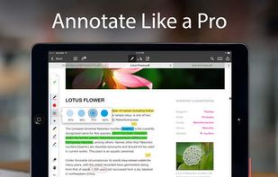 PDF Expert screenshot 1