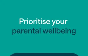 Pareful screenshot 2