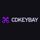 Cdkeybay.com icon