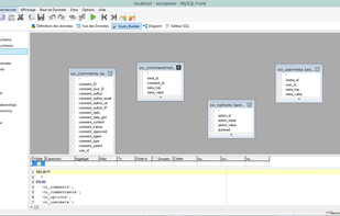 MySQL-Front screenshot 1