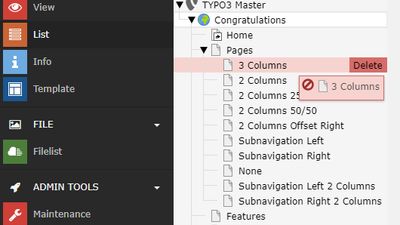 The TYPO3 v9 backend modules on the left column and page tree on the right column.