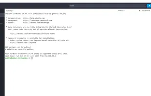 Built in terminal and command snippet