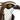 Osprey: Browser Protection icon